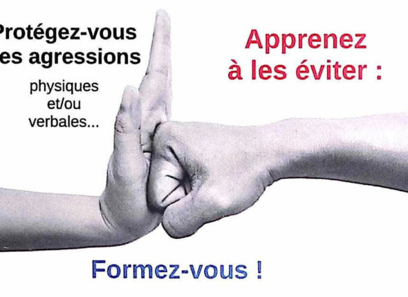 vignette_formation
